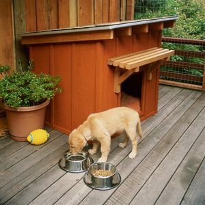 15 Free Dog House Plans Anyone Can Build