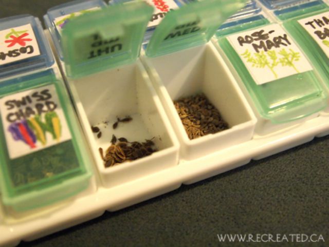 The Best Ways to Store Seeds