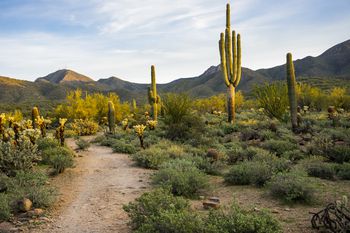 Driving Time From Phoenix to Other Arizona Cities