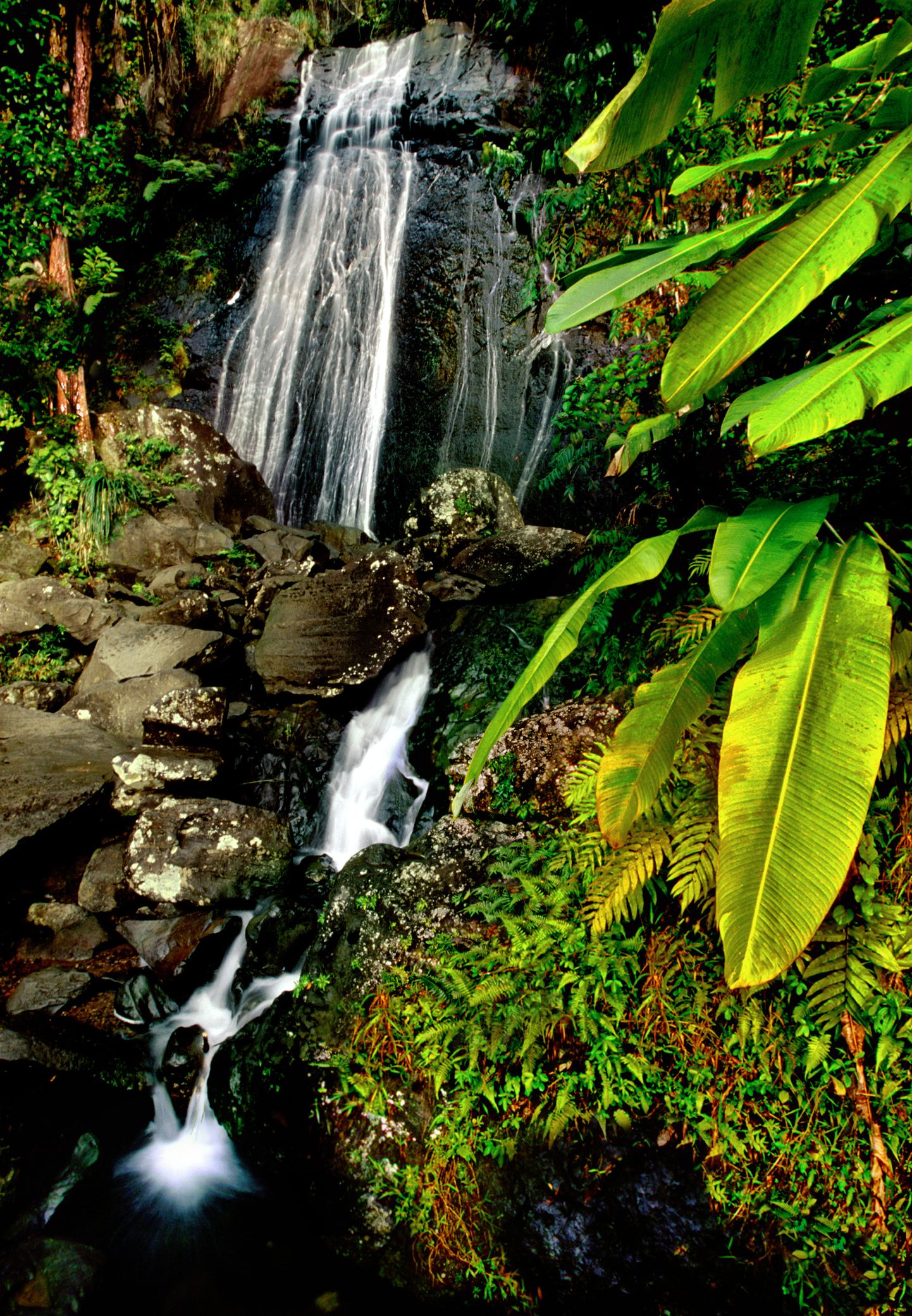 natural tourist attractions in puerto rico