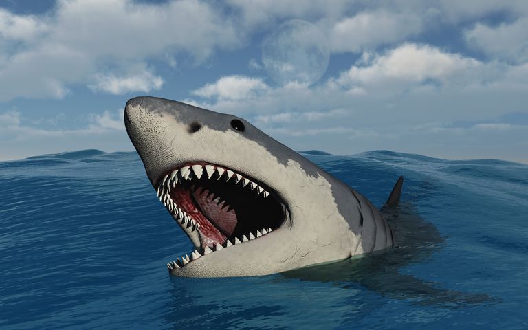 Gambar Megalodon Leviathan Wins Giant Shark Gambar Ikan Paus di Rebanas ...