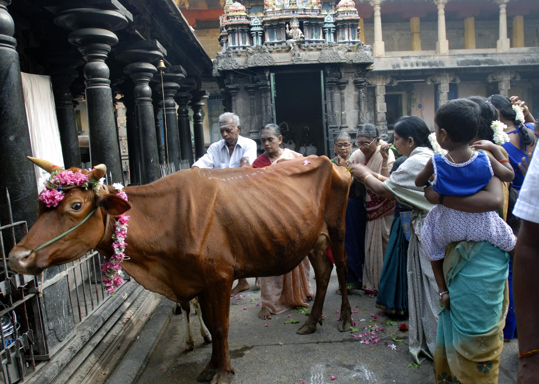 Hindu Rituals After Death Of Husband