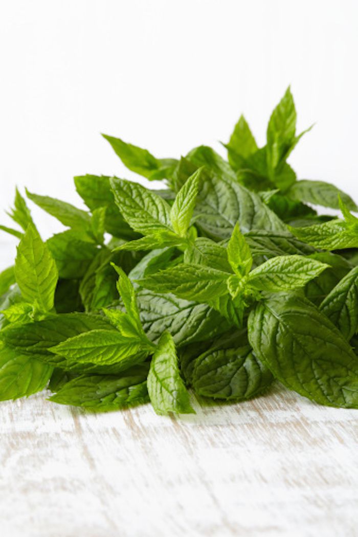 How to Grow and Dry Mint