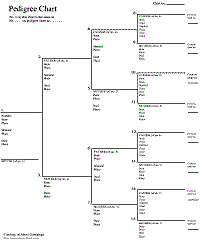 Fill In Pedigree Chart