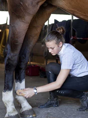 Understanding Your Horse's Hooves - Parts & Functions