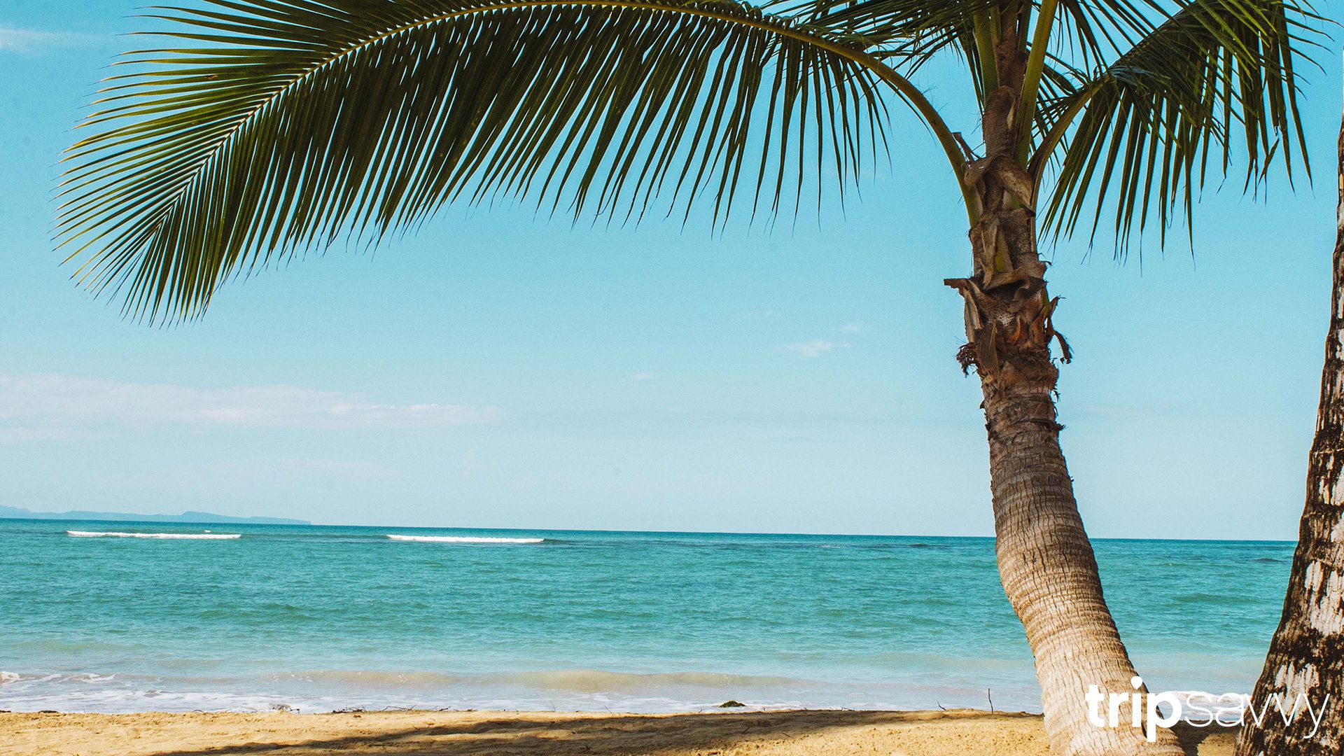 The Best Beach Zoom Background For When You're Dreaming Of A Tropical ...