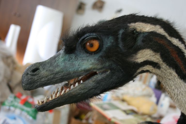 velociraptor had feathers