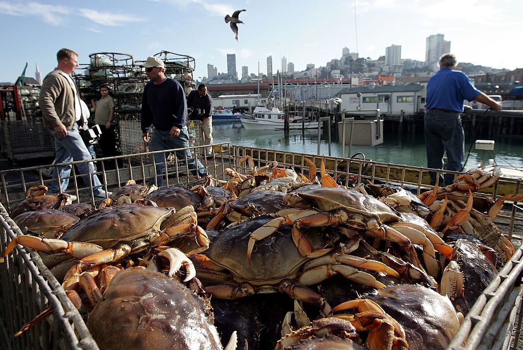 Crab Season in San Francisco