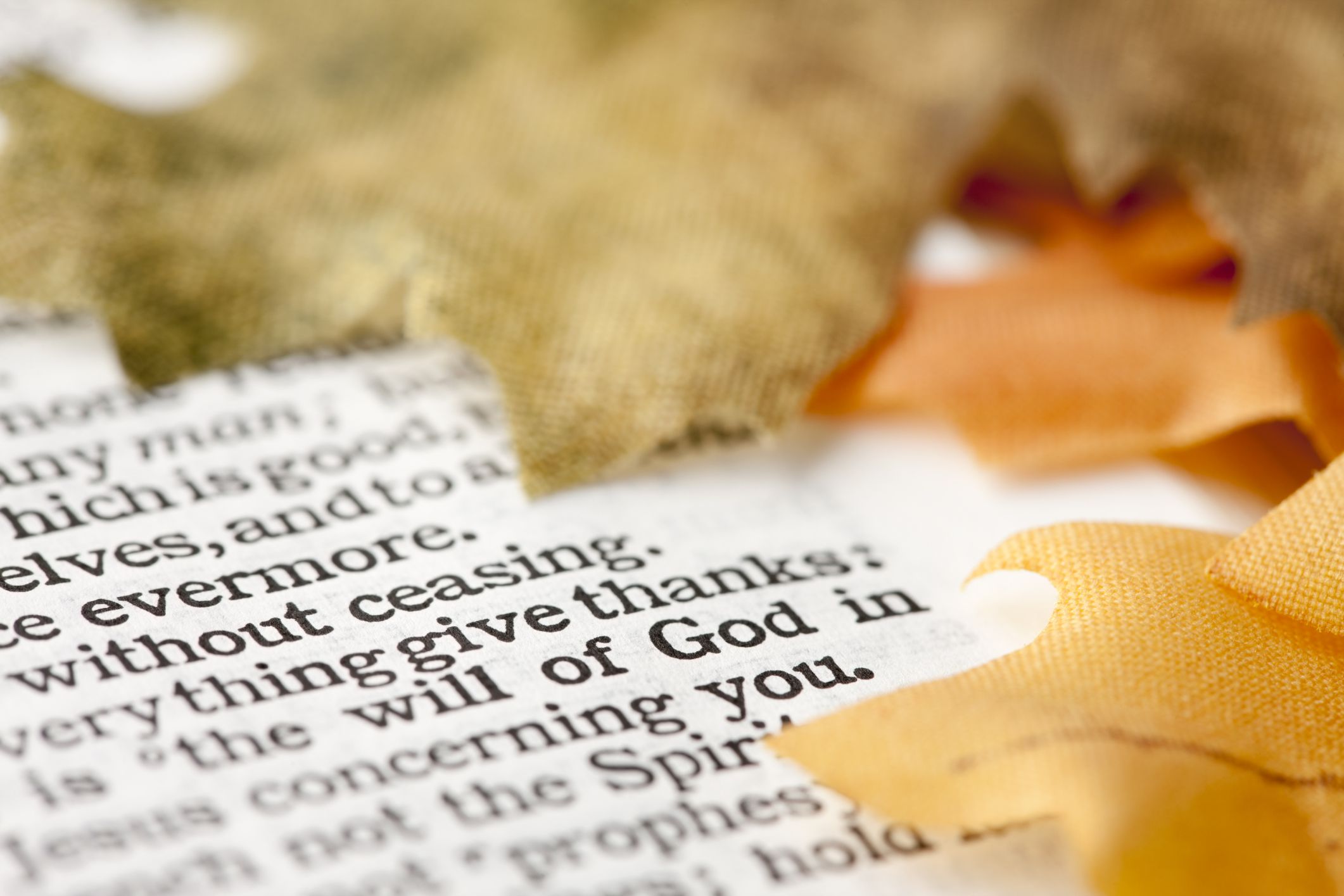 7 Bible Verses for Giving Thanks and Praise