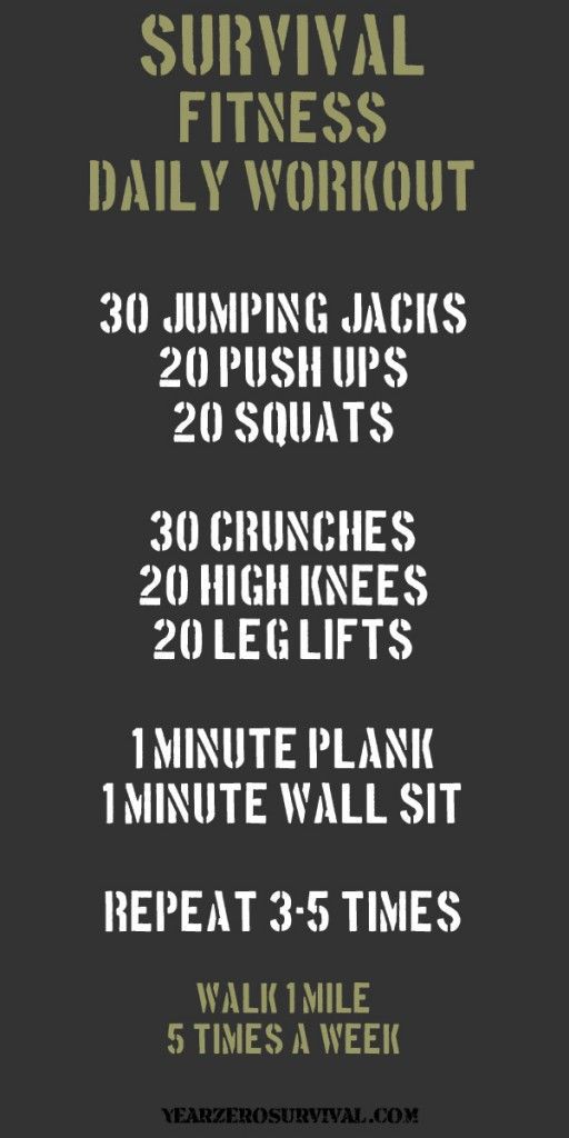 Daily Workout Routine