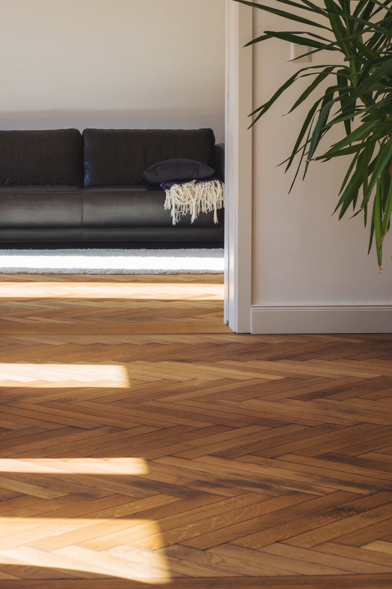 Laminate Flooring In a Multi-Colored Living Room Decor