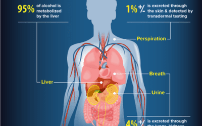 Blood Alcohol Content Conversions for Men by Weight