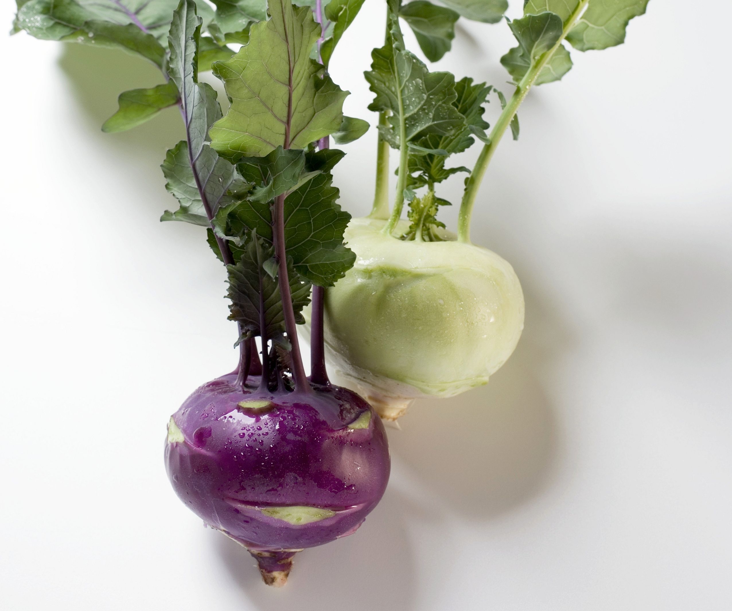 Definition of the Vegetable Known as Kohlrabi