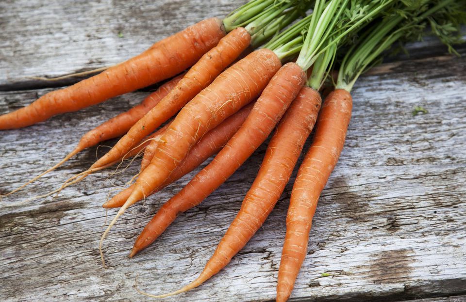 are carrots a cool weather crop