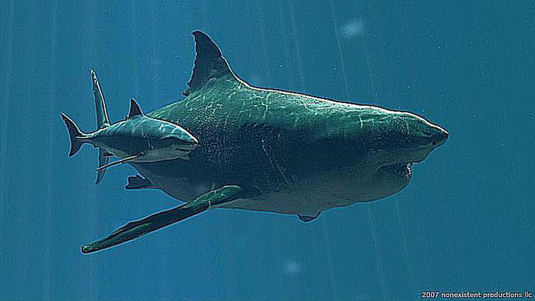 prehistoric dinosaur shark