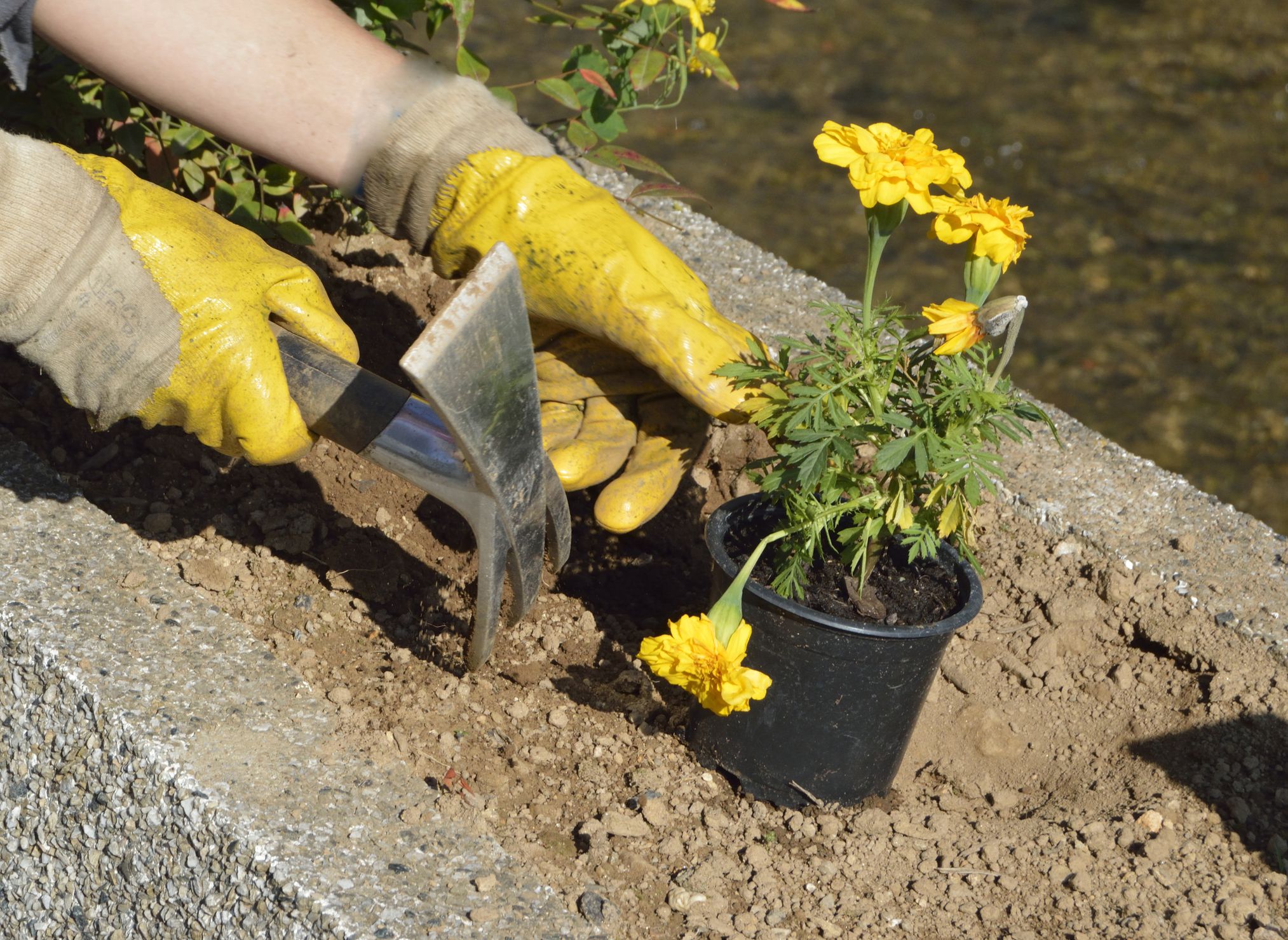 Improve Clay Soil in the Flower Garden