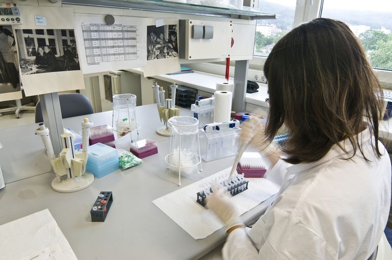 Lab assistant working in the lab