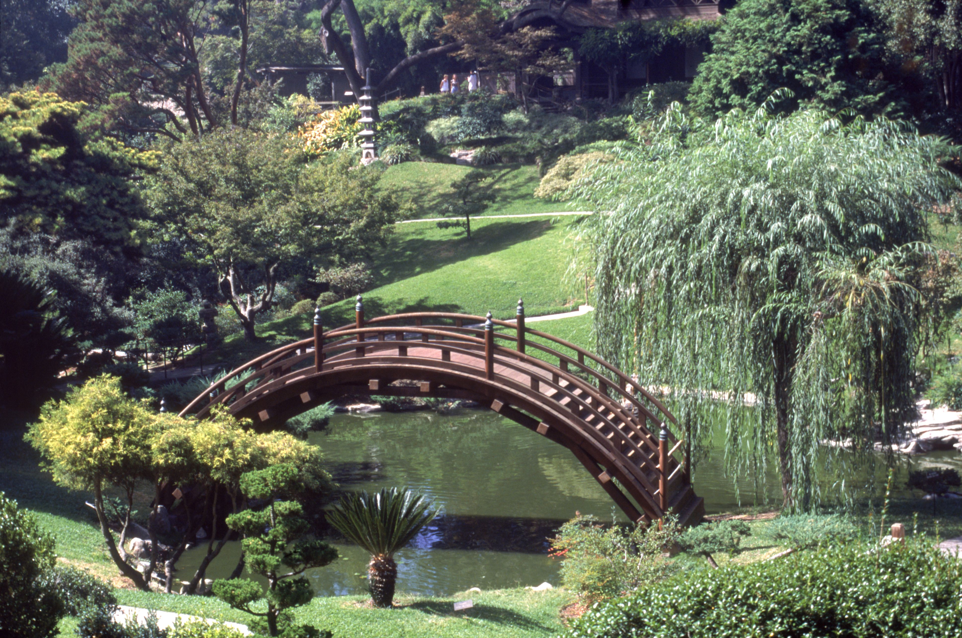 100 Ventura Botanical Gardens File A Pool In The Rock