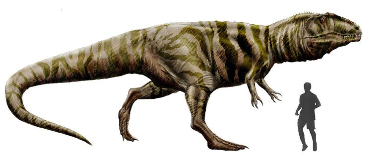 giganotosaurus evolution