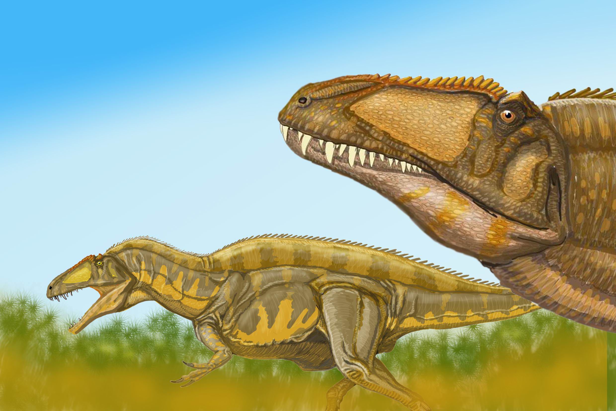 10 Facts About Acrocanthosaurus