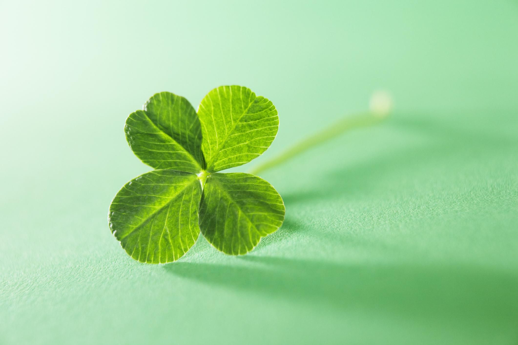 Top St Patrick s Day Quotes