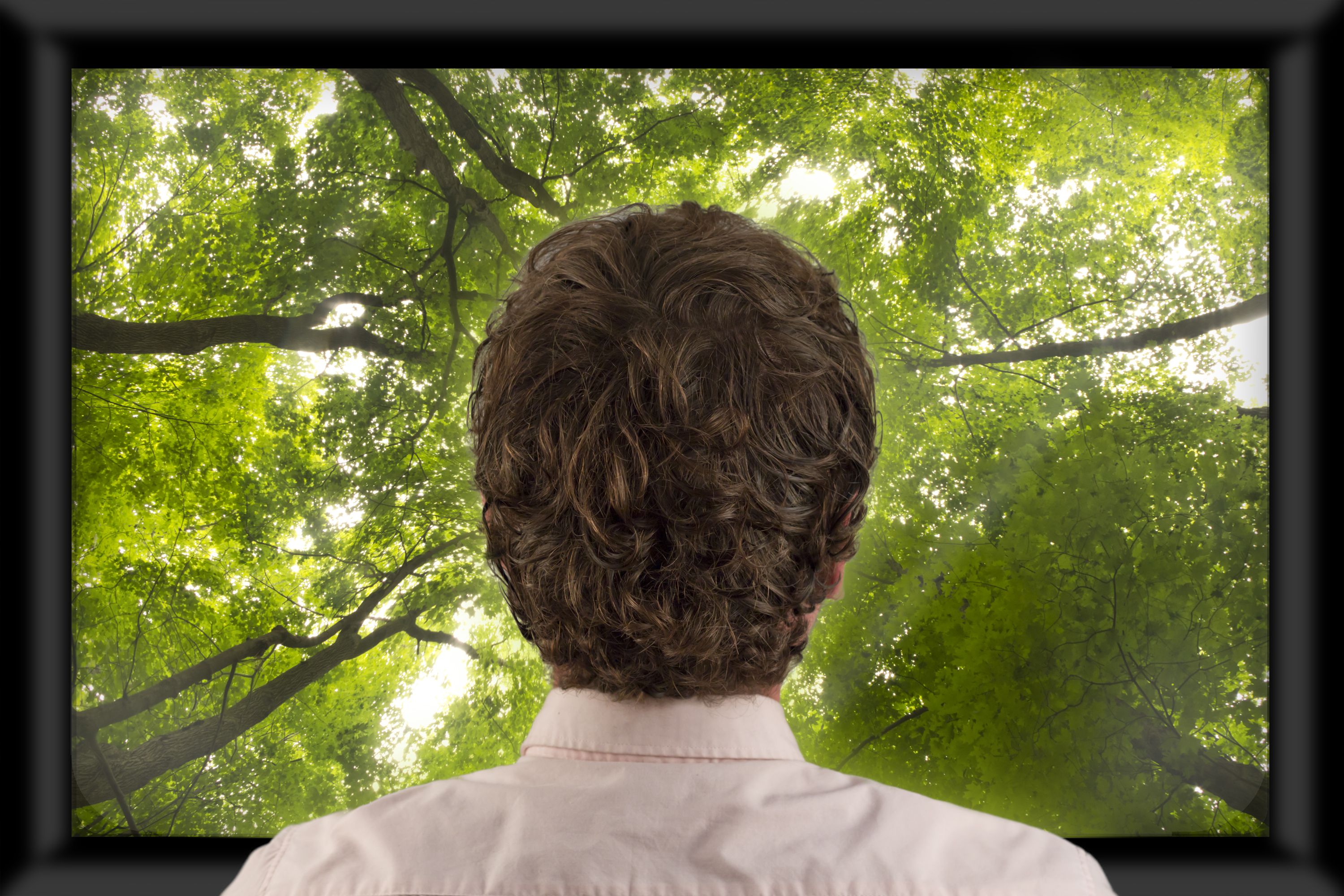Watching Nature on TV Can Boost Mood and Ease Boredom