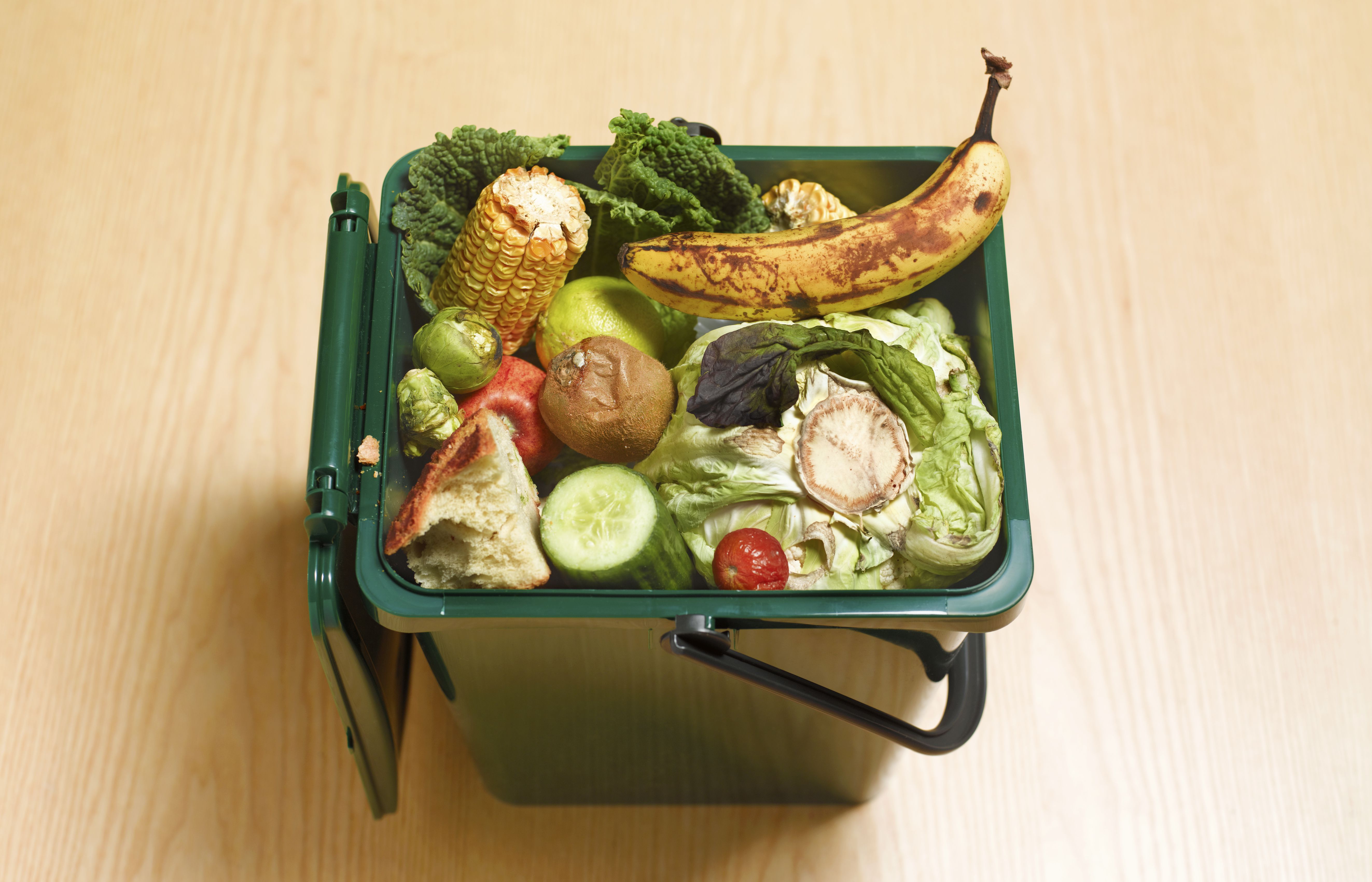 Recycle Kitchen Wastes Using a Home Worm Bin