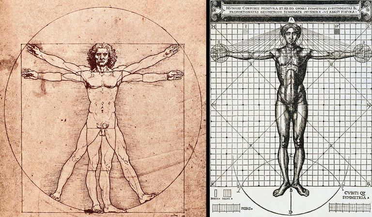 leonardo da vinci human body drawing