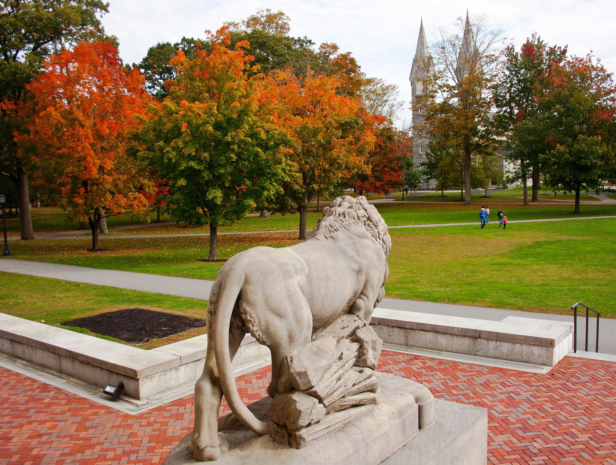 Bowdoin College Admissions: SAT Scores, Tuition & More