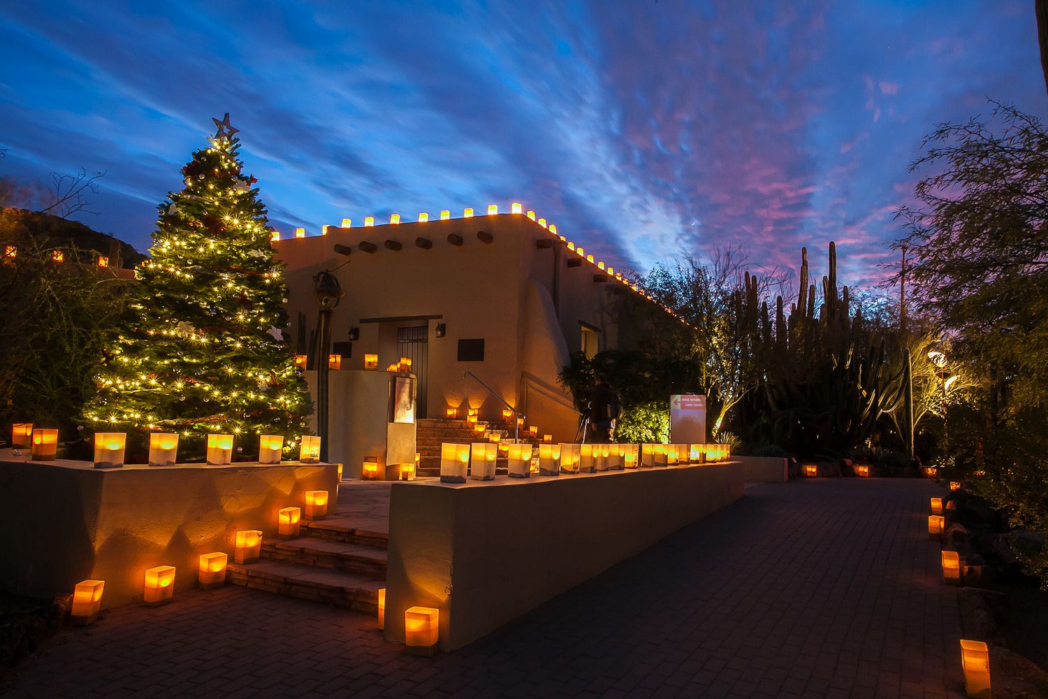 Las Noches de las Luminarias at Desert Botanical Garden