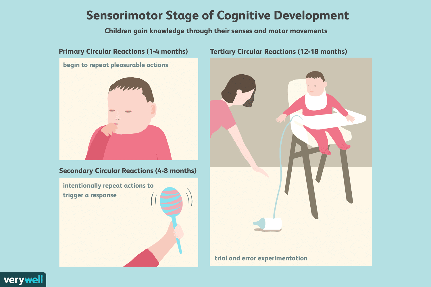 Observation Of Jean Piagets Theory Of Cognitive Development