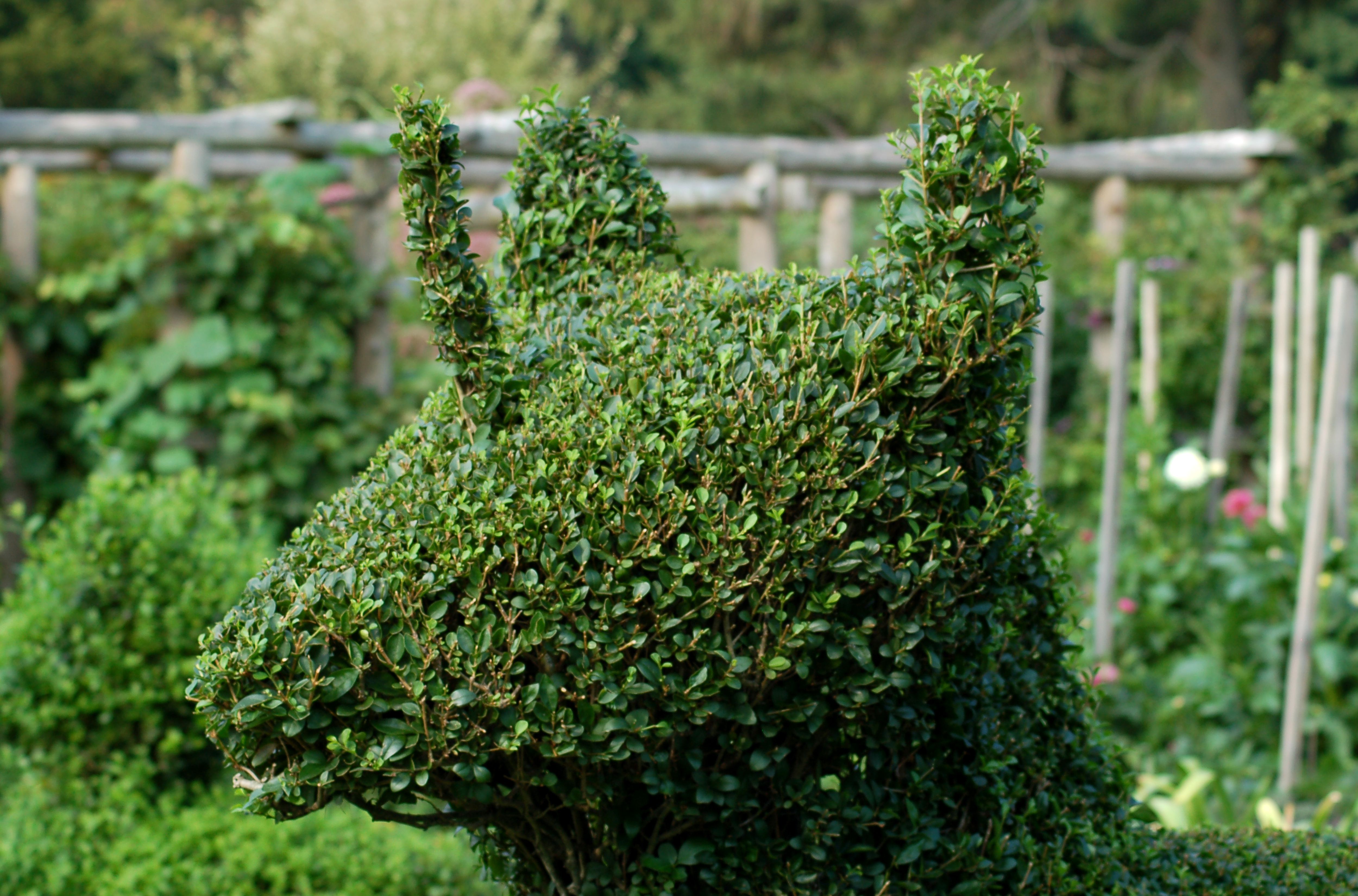 what is topiary