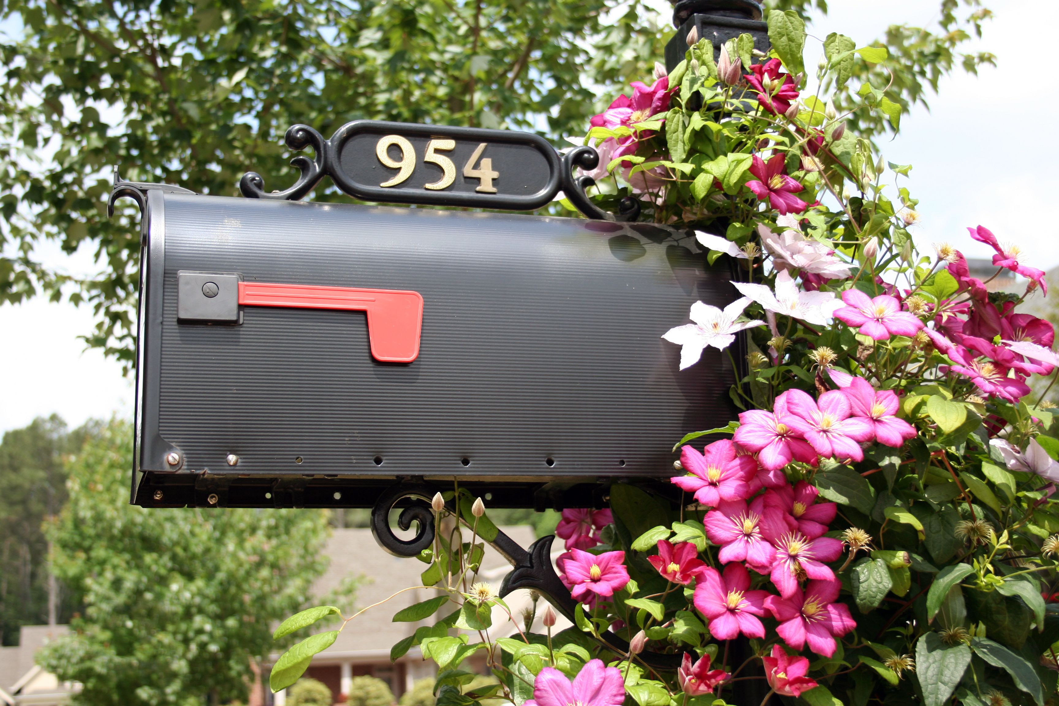 Gorgeous Mailbox Garden Ideas on Mailbox Garden Designs
 id=39516