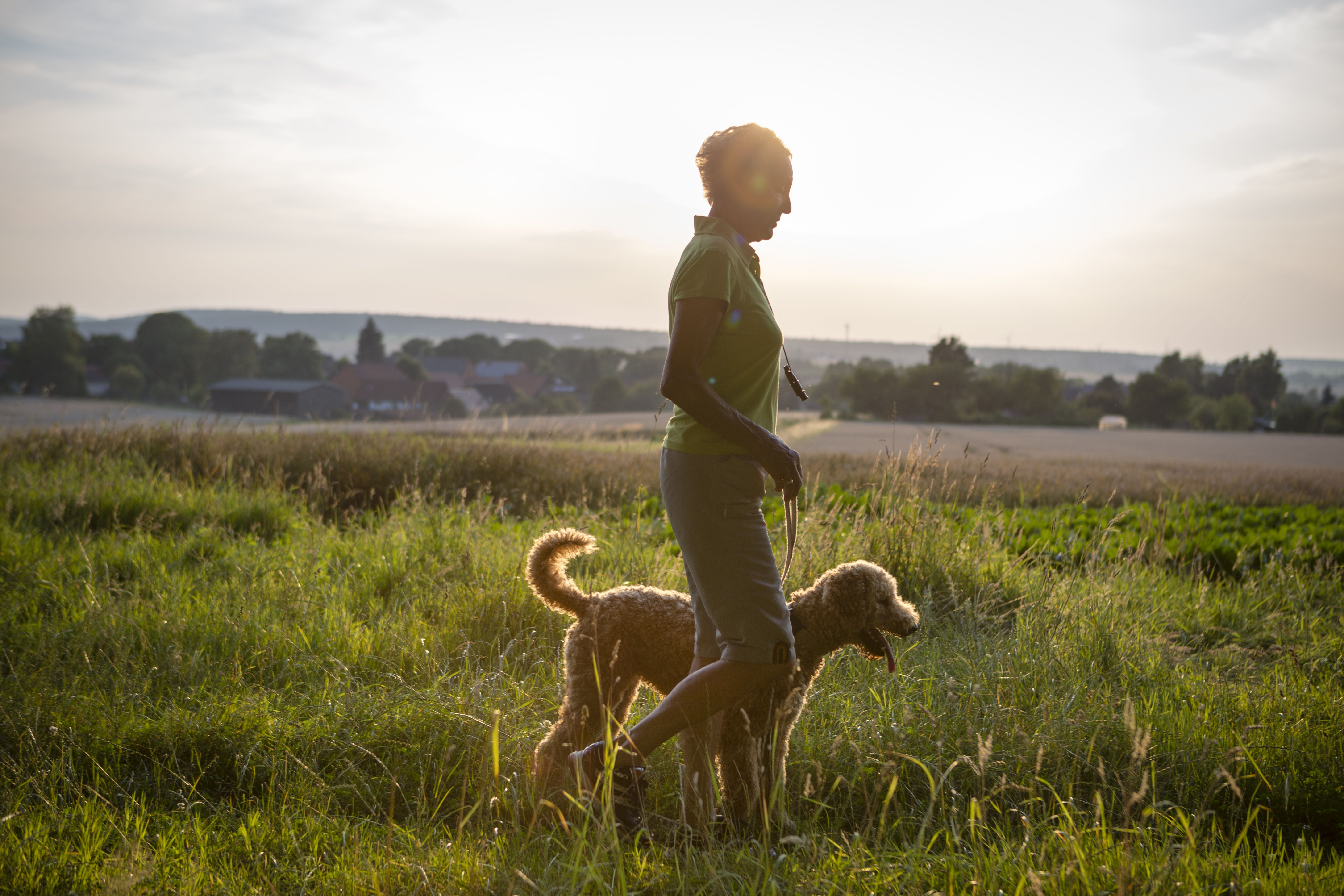Dogs Must Be Walked Twice A Day in Germany
