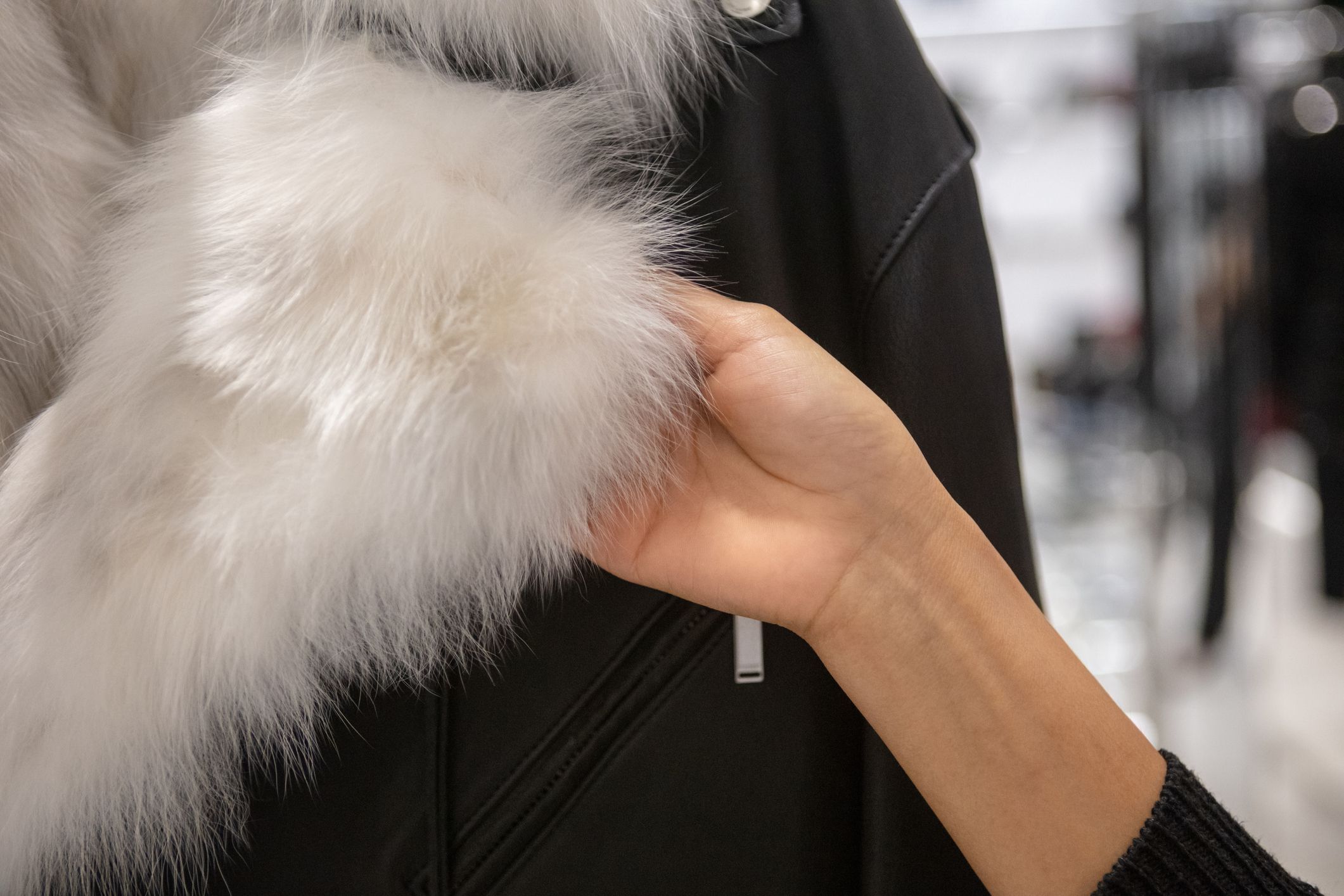 Israel Intends to Ban Sales of Fur