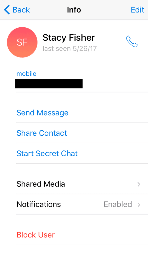 How to make a free audio call through the Telegram app