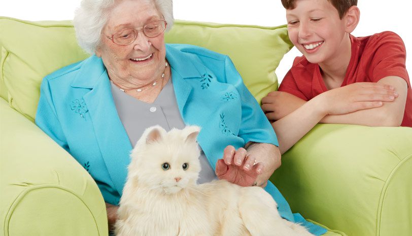 robot cat for seniors