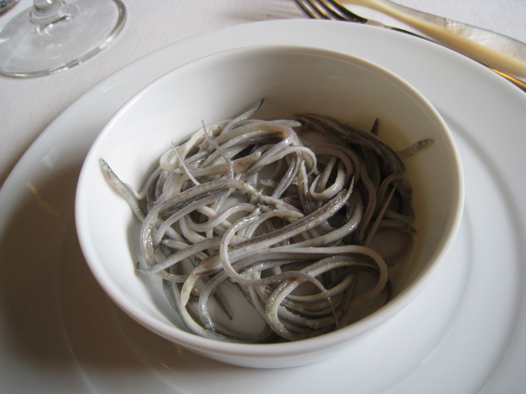 Learn How Angulas, the Spanish Food Term for Baby Eels ...