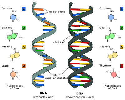 Biomolecules, Free Full-Text