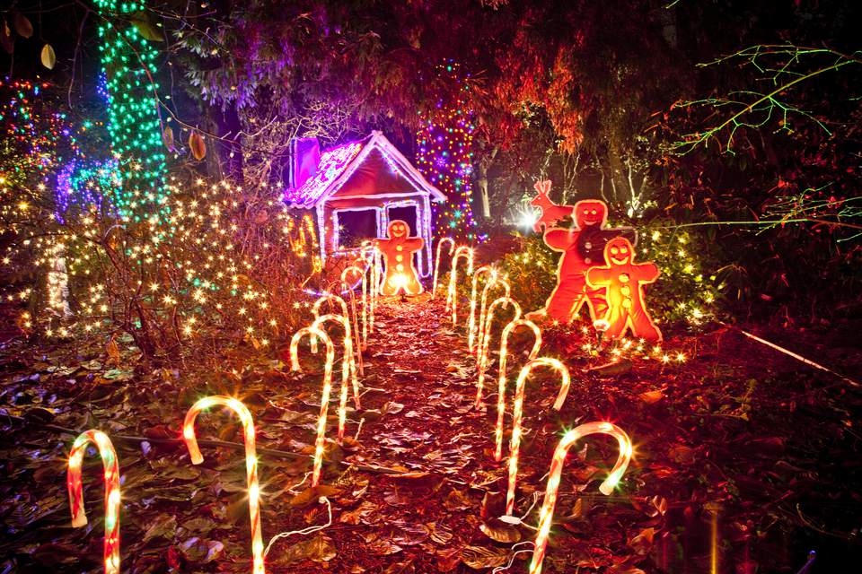 6 Places to See the Christmas Lights in Vancouver