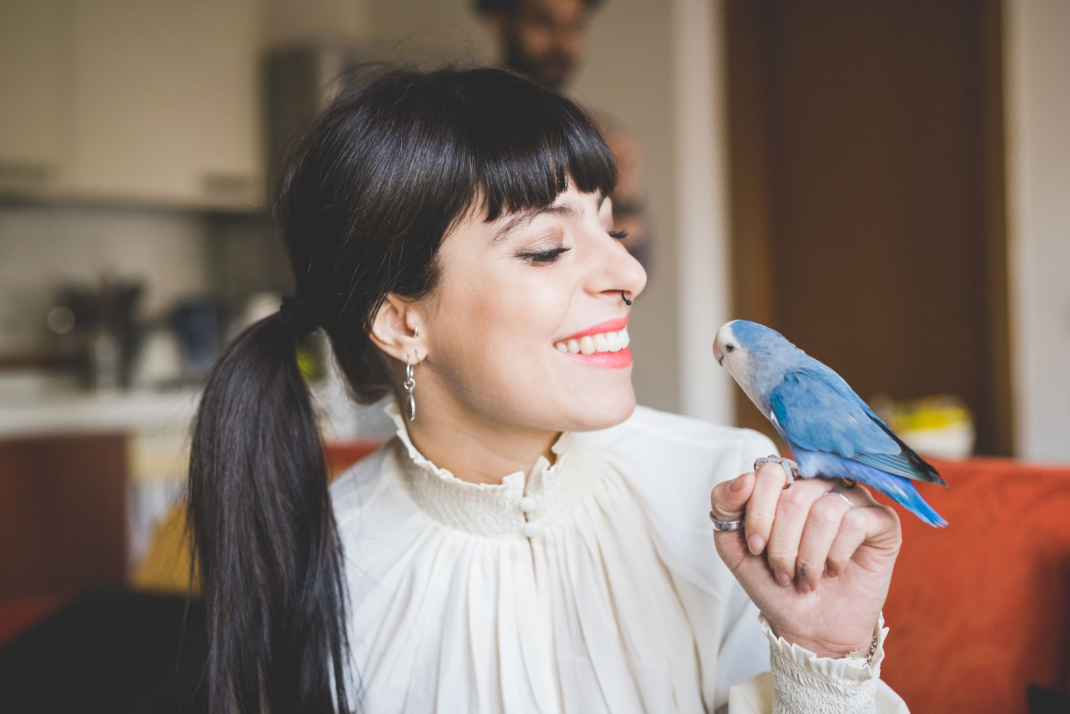 How to Safely Clip Your Bird's Wings living room electrical diagram 