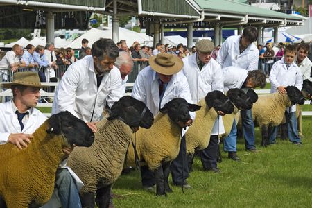 job animal breeder technician