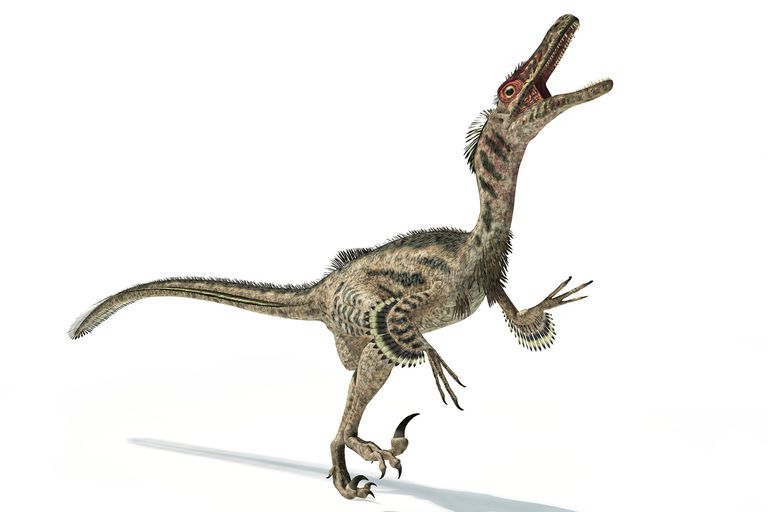 different dinosaur raptors