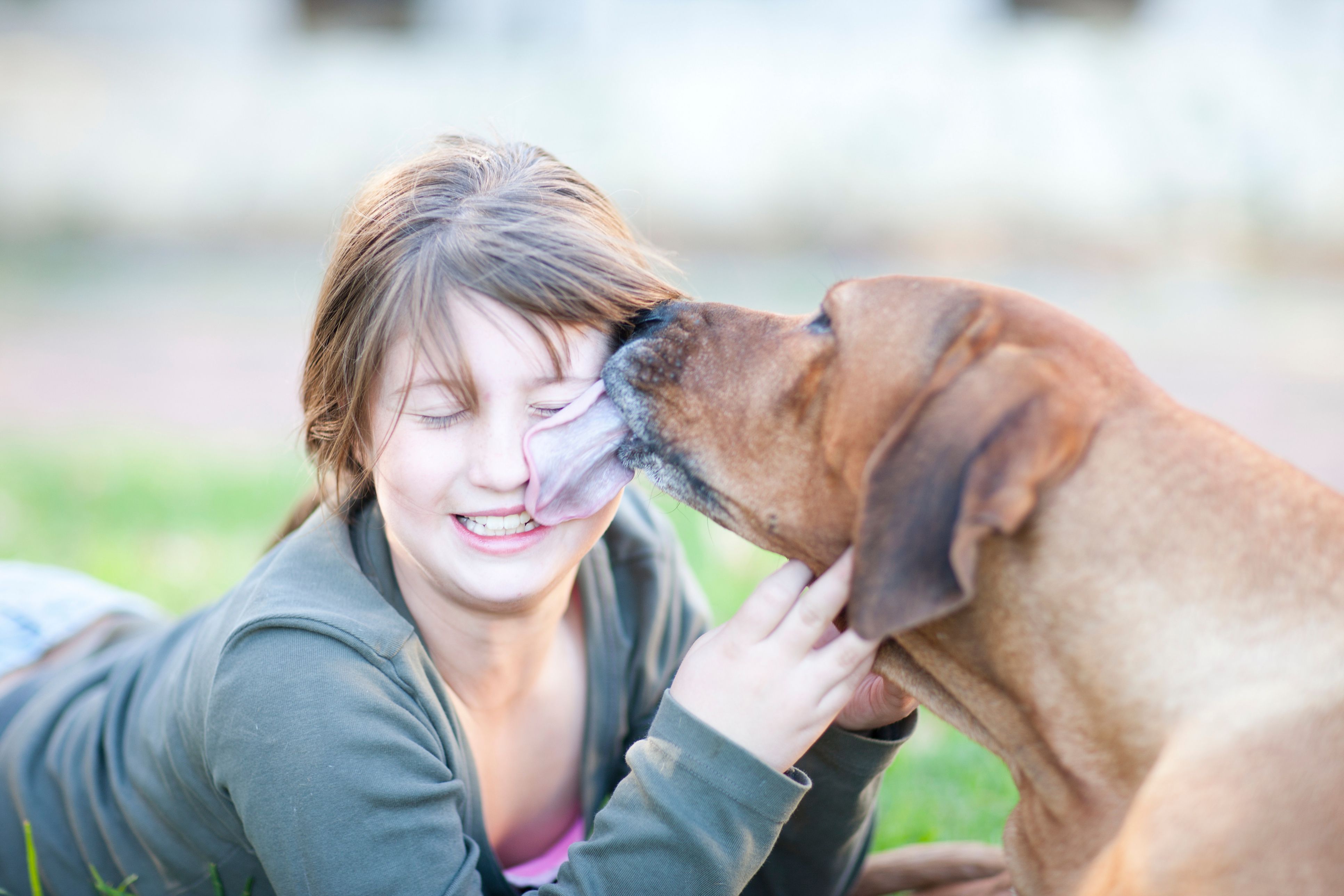 Why Do Dogs Like To Lick People-6013