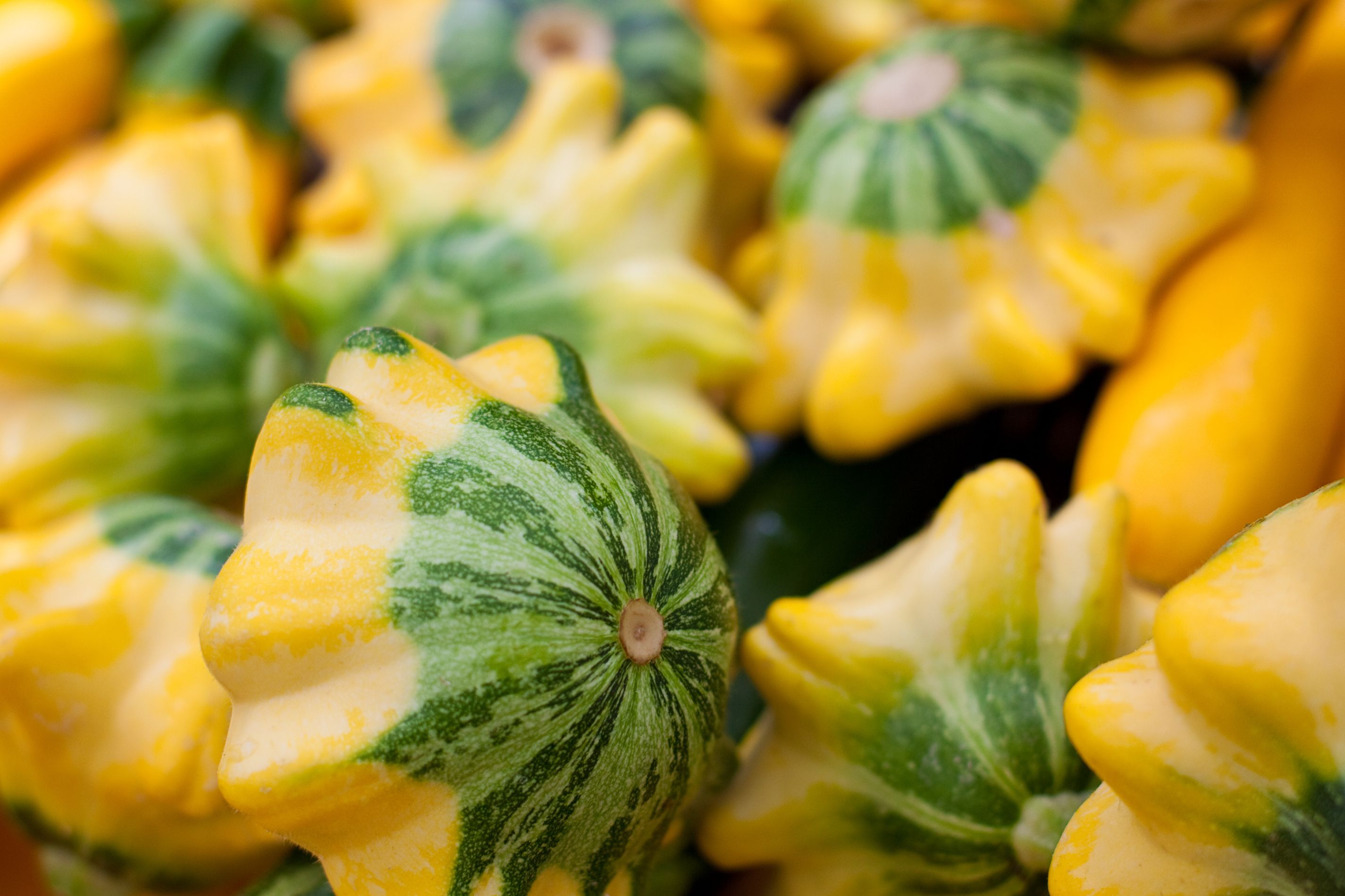 Oven-Roasted Patty Pan Squash Recipe