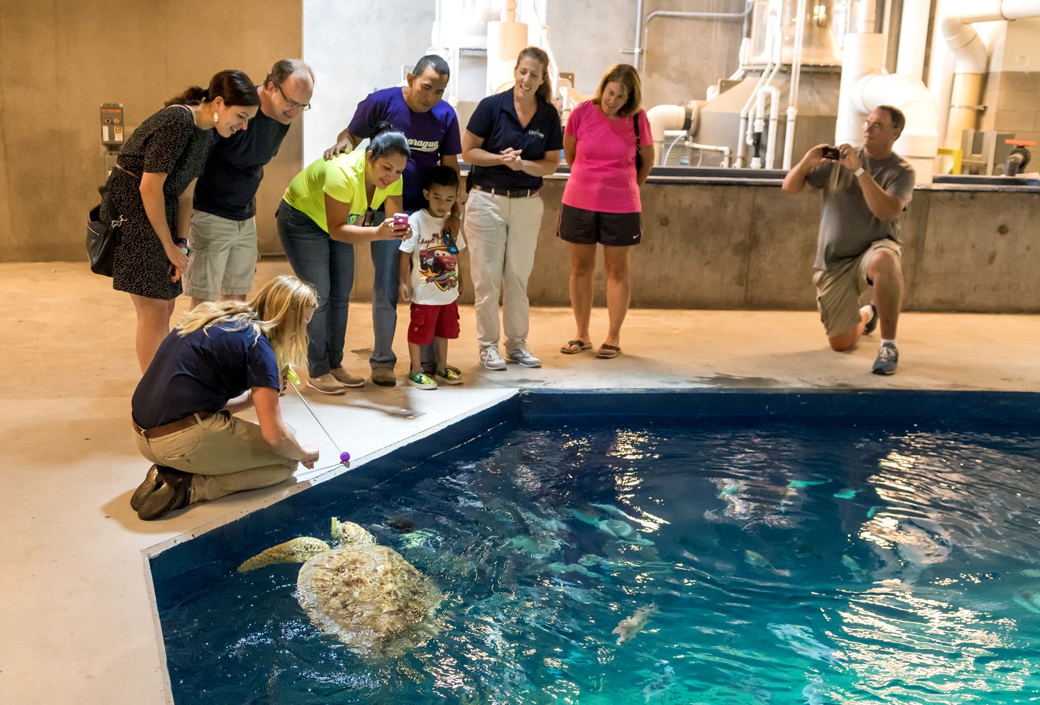 Odysea Aquarium Scottsdale  Tips  Tickets  Location