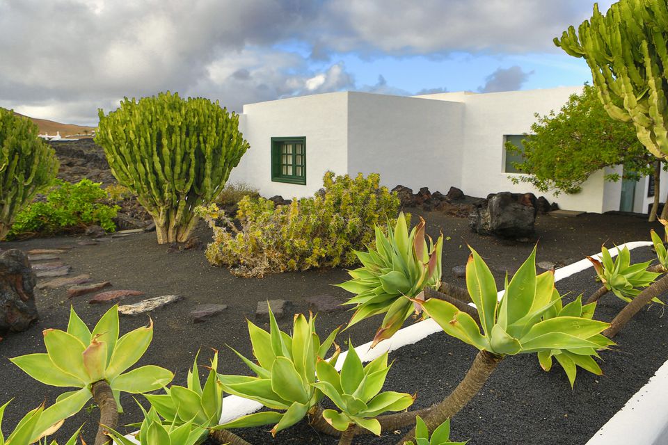 Landscaping Ideas For Side Of House Where Grass Won'T Grow - No Grass Landscaping Ideas Pictures