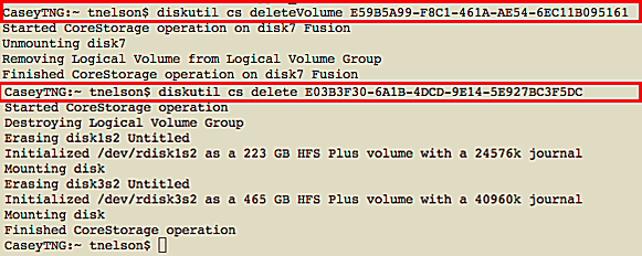 Delete Core Storage Volume
