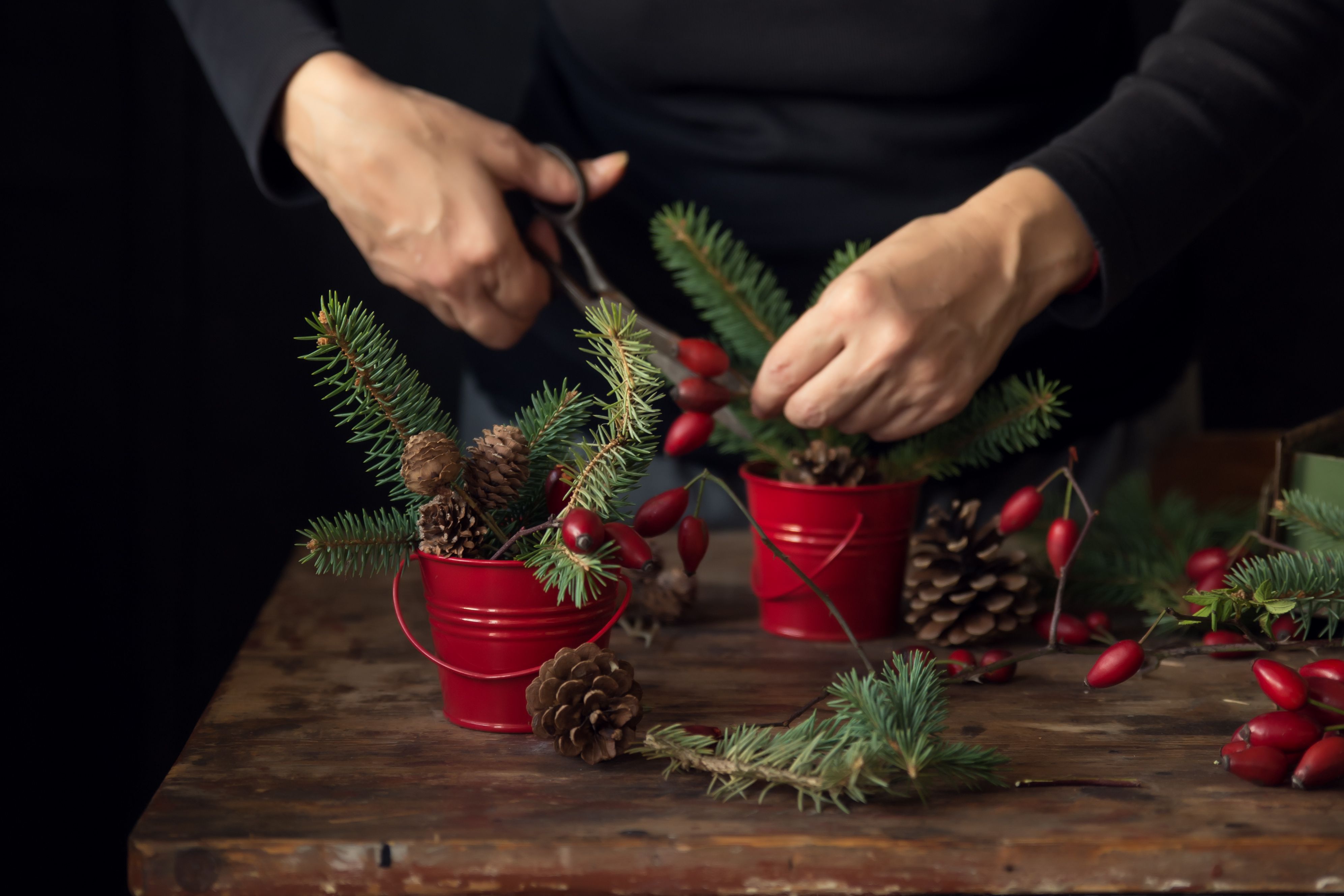Garden Cuttings for the Prettiest Winter Decor