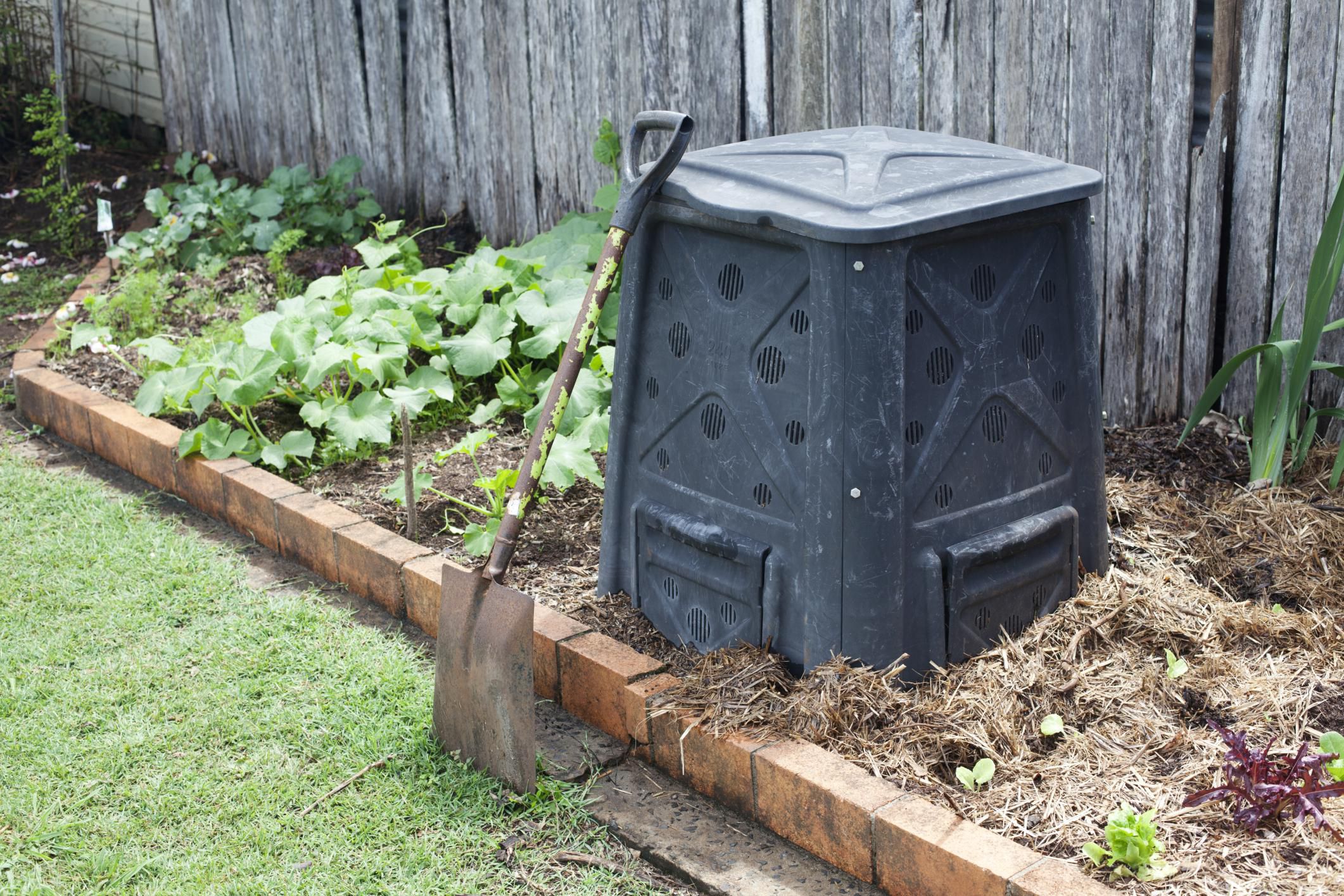 Composting Weeds: Advice and What to Avoid